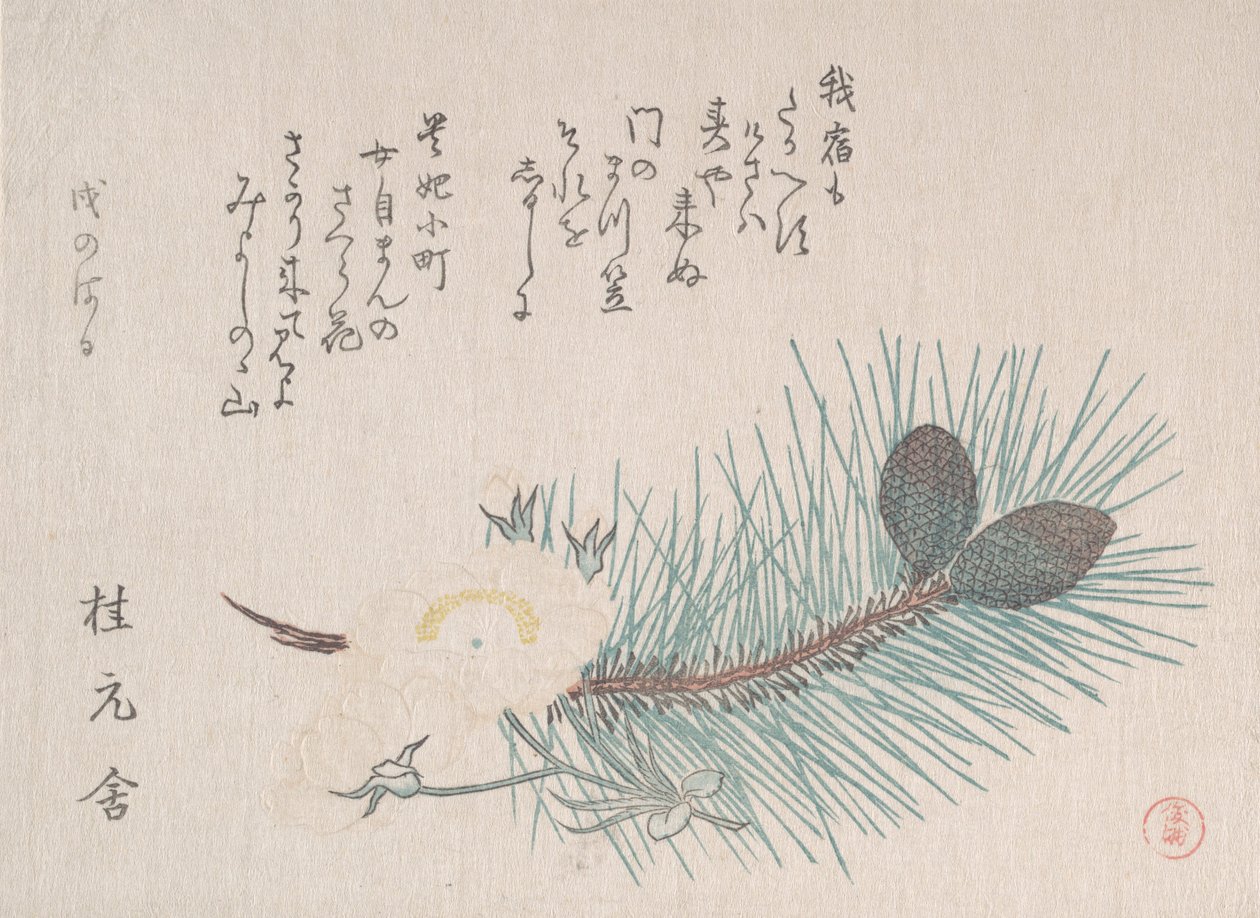 松树和樱花，大概在1814年。 作者 久保顺曼