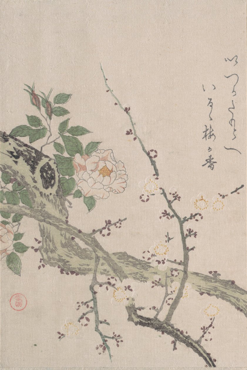 玫瑰和梅花，19世纪。 作者 久保顺曼