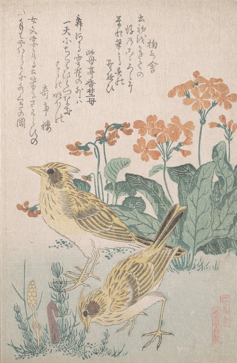 云雀和报春花......，约1805-10。 作者 久保顺曼