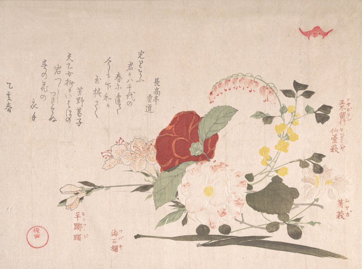 春雨集Harusame shu，第二卷：切花。铁线莲, 巴士..., 1815牛年. 作者 久保顺曼