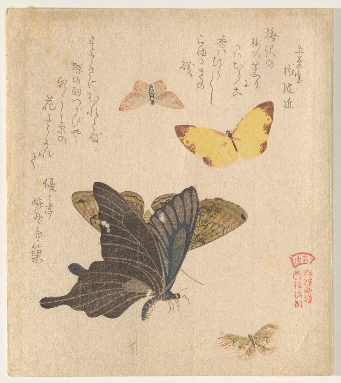 群蝶（Guncho? Gafu）绘画手册 作者 久保顺曼