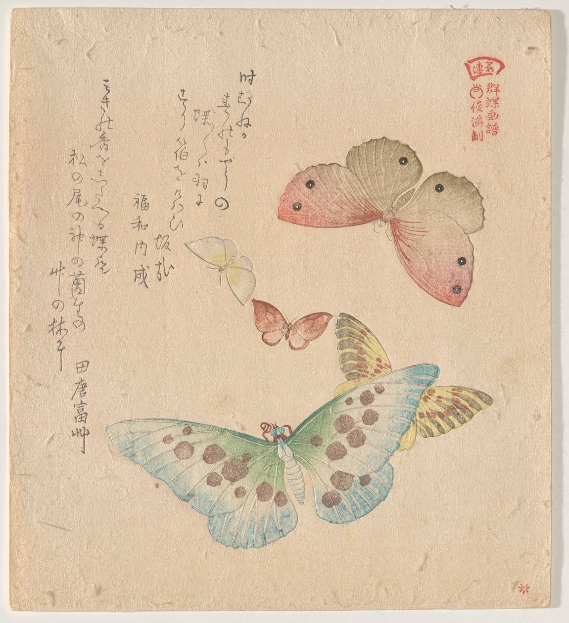 群蝶（Guncho? Gafu）绘画手册 作者 久保顺曼