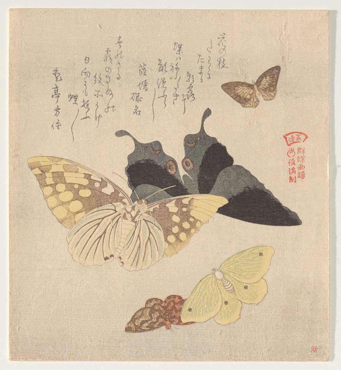 群蝶（Guncho? Gafu）绘画手册 作者 久保顺曼