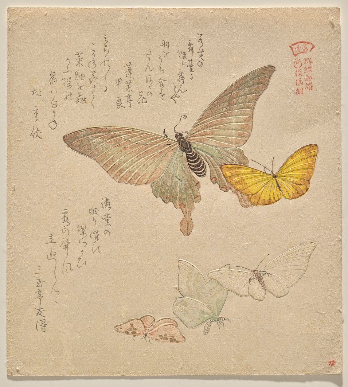 群蝶（Guncho Gafu）绘画手册 作者 久保顺曼