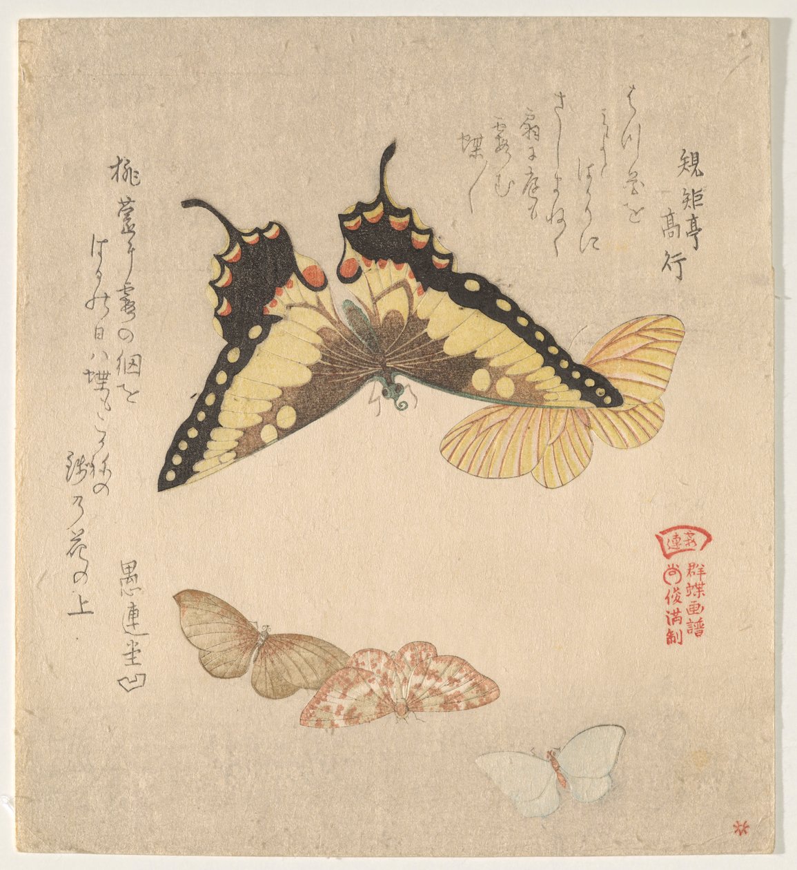 群蝶（Guncho Gafu）绘画手册 作者 久保顺曼