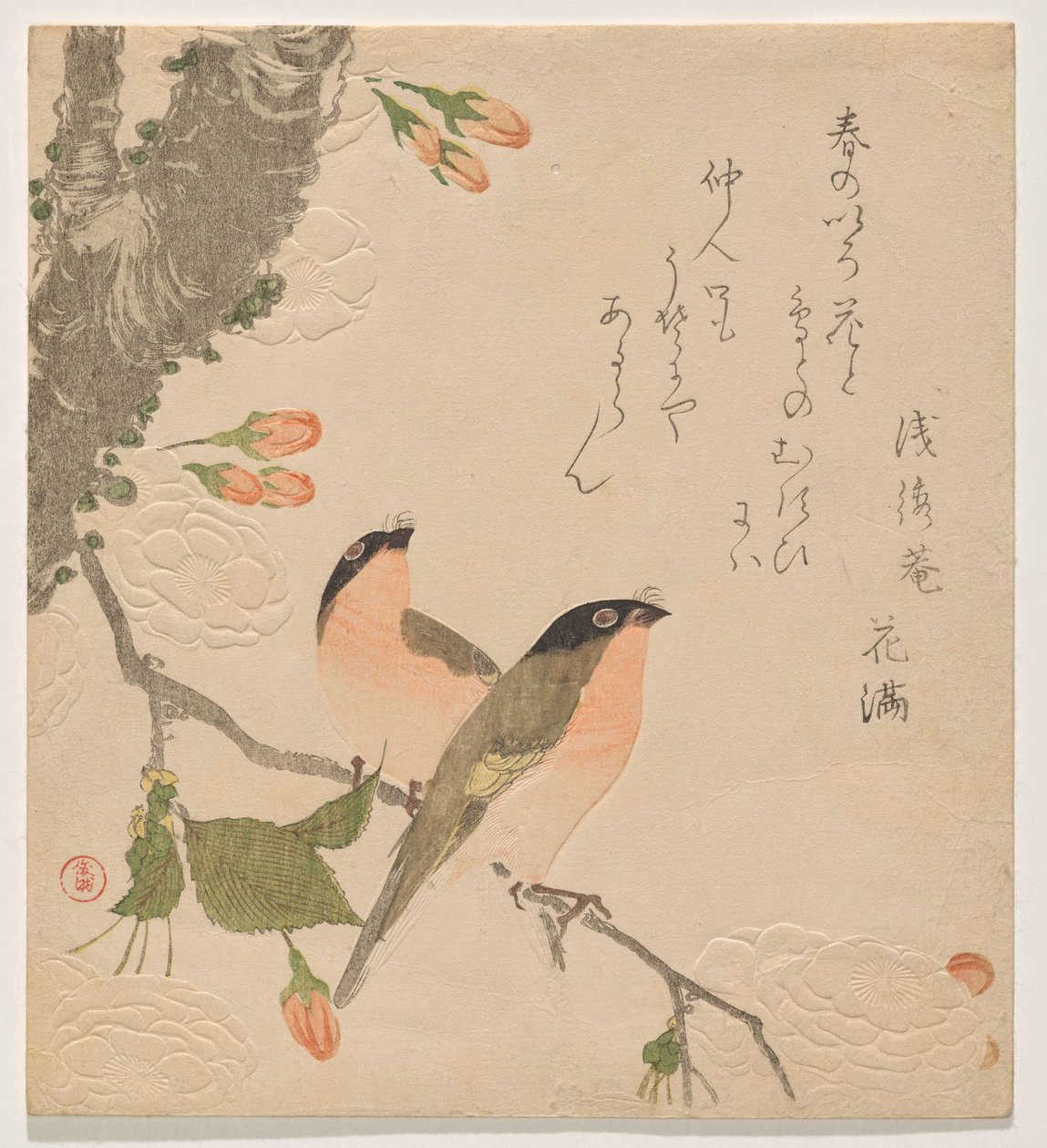 双瓣樱花树上的两只牛雀（Uso ni Yae-zakura） 作者 久保顺曼