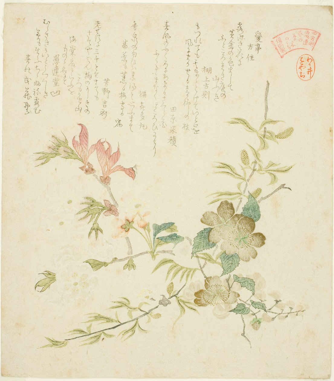 各种春天的花朵，选自 "阳间组霞诗会的春天的植物和树木（阳间川霞人 haru no kusaki no uchi）"系列 作者 久保顺曼