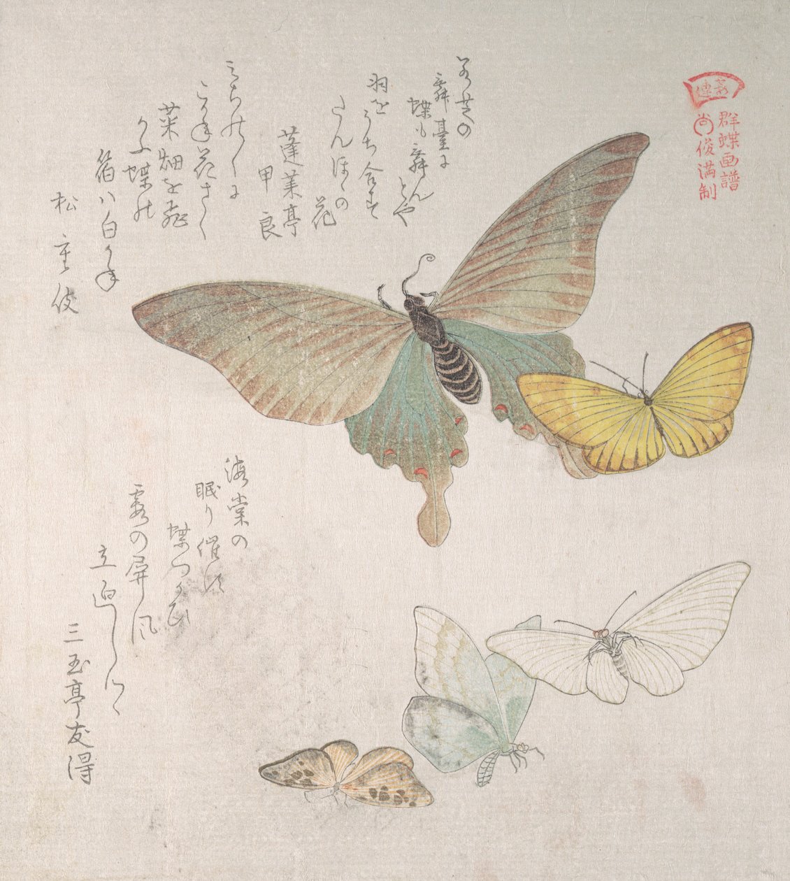 各种飞蛾和蝴蝶，19世纪。 作者 久保顺曼