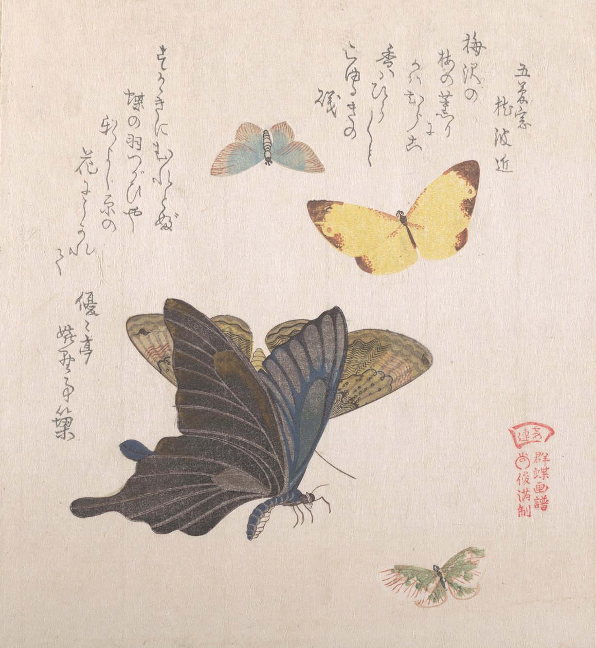 各种飞蛾和蝴蝶，19世纪。 作者 久保顺曼