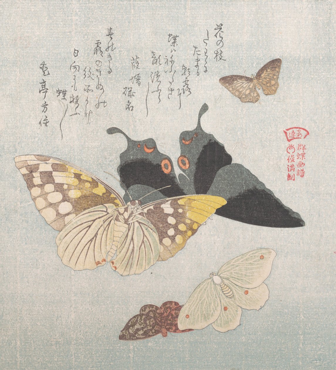 各种飞蛾和蝴蝶，19世纪。 作者 久保顺曼