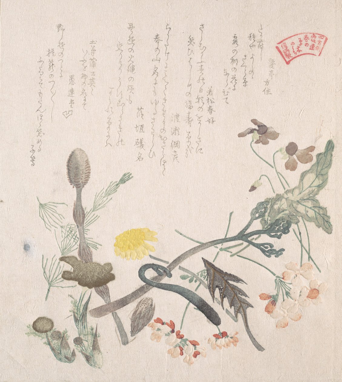 紫罗兰、报春花和其他春季花卉，19世纪。 作者 久保顺曼