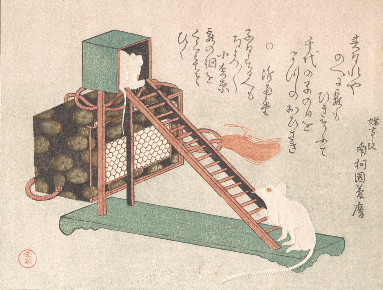 白老鼠玩耍，可能是1816年。 作者 久保顺曼