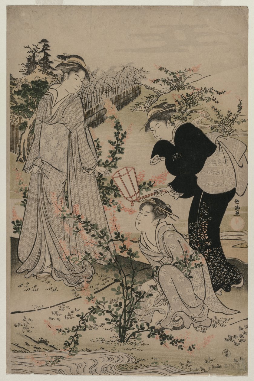 1780年代后期，女性切割了布什的三叶草的分支，近江省的野寺多摩河... 作者 久保顺曼