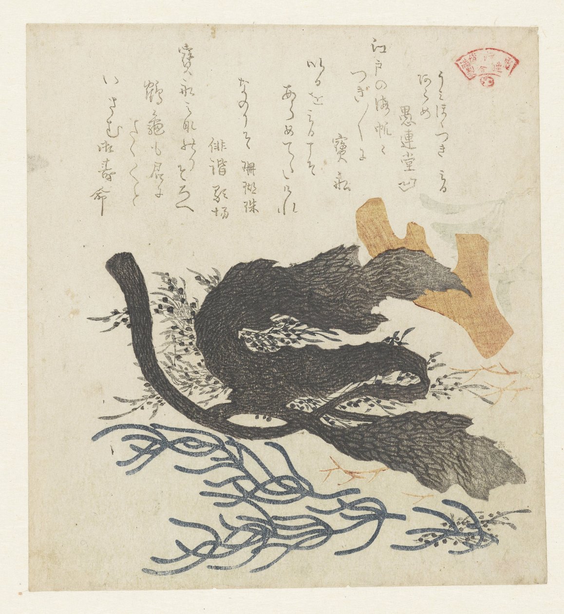 海藻 作者 久保田顺满