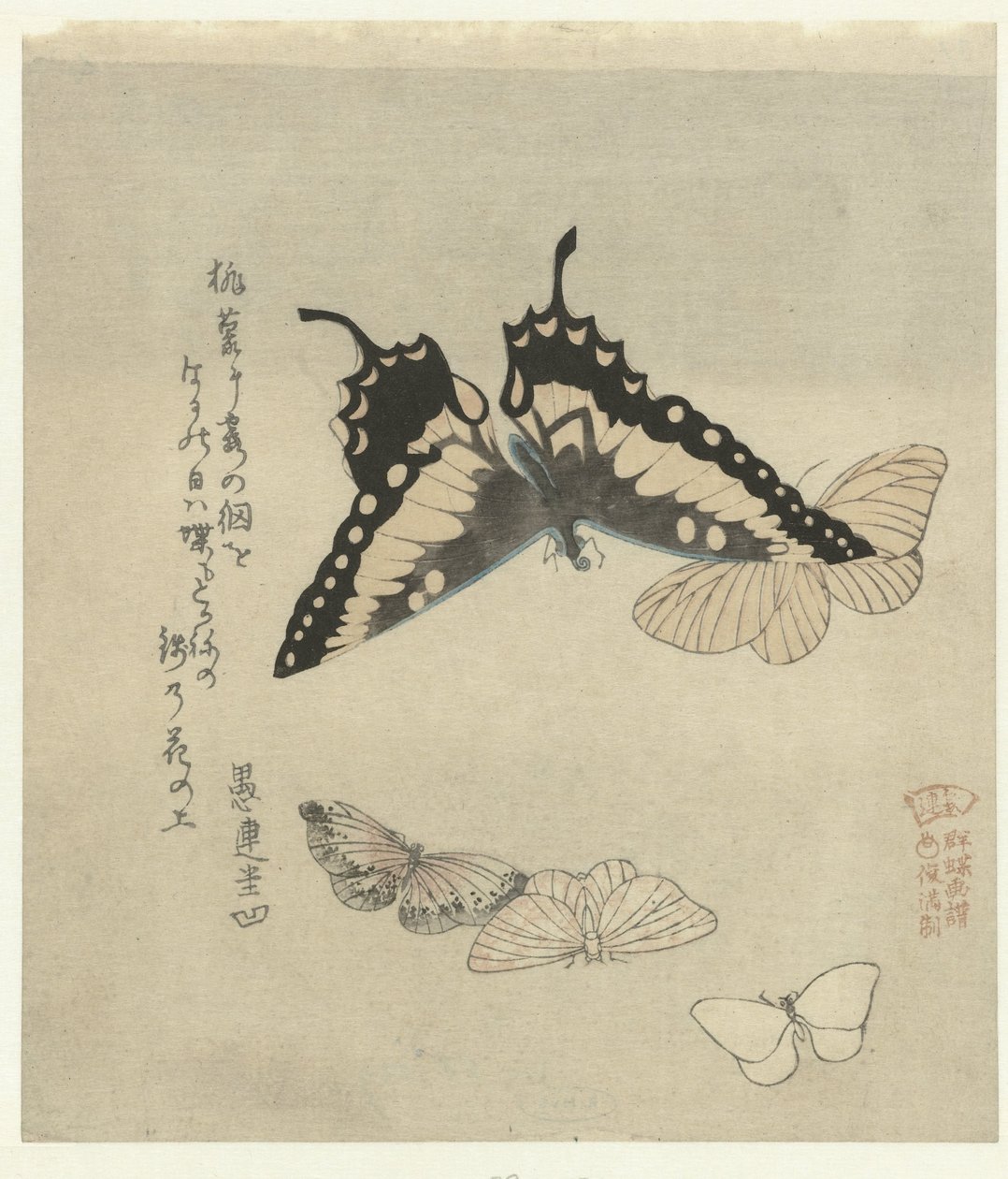 五只蝴蝶
为霞诗社创作的蝴蝶系列版画（系列名称）
Kasumiren gunchô gafu（实物上的系列名称） 作者 久保田顺满