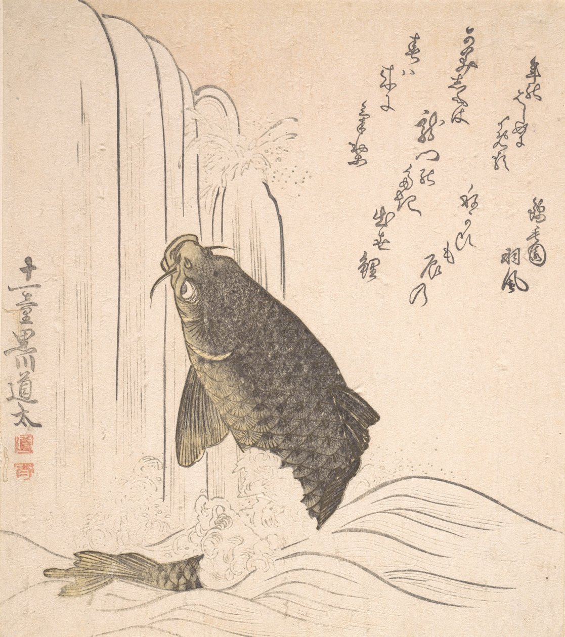 试图游上瀑布的鲤鱼，大概在1820年。 作者 黑川道太