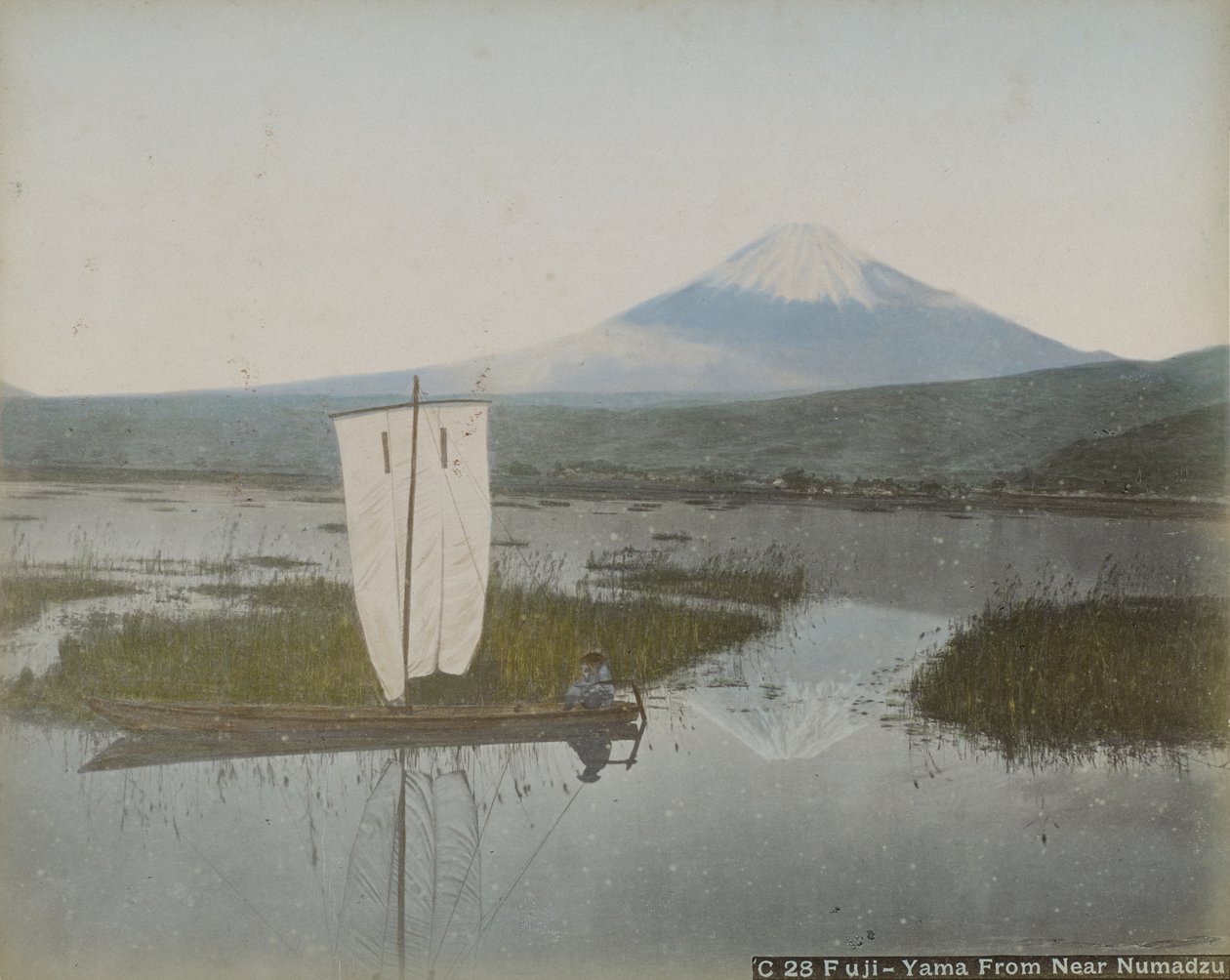 Fuji-Yama来自Numadzu附近，1890年（蛋白银印有涂色） 作者 日下金兵卫