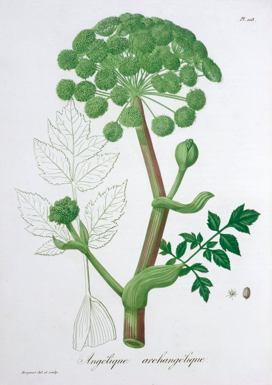 苻坚花园苻坚，1821年 作者 LFJ霍夸特