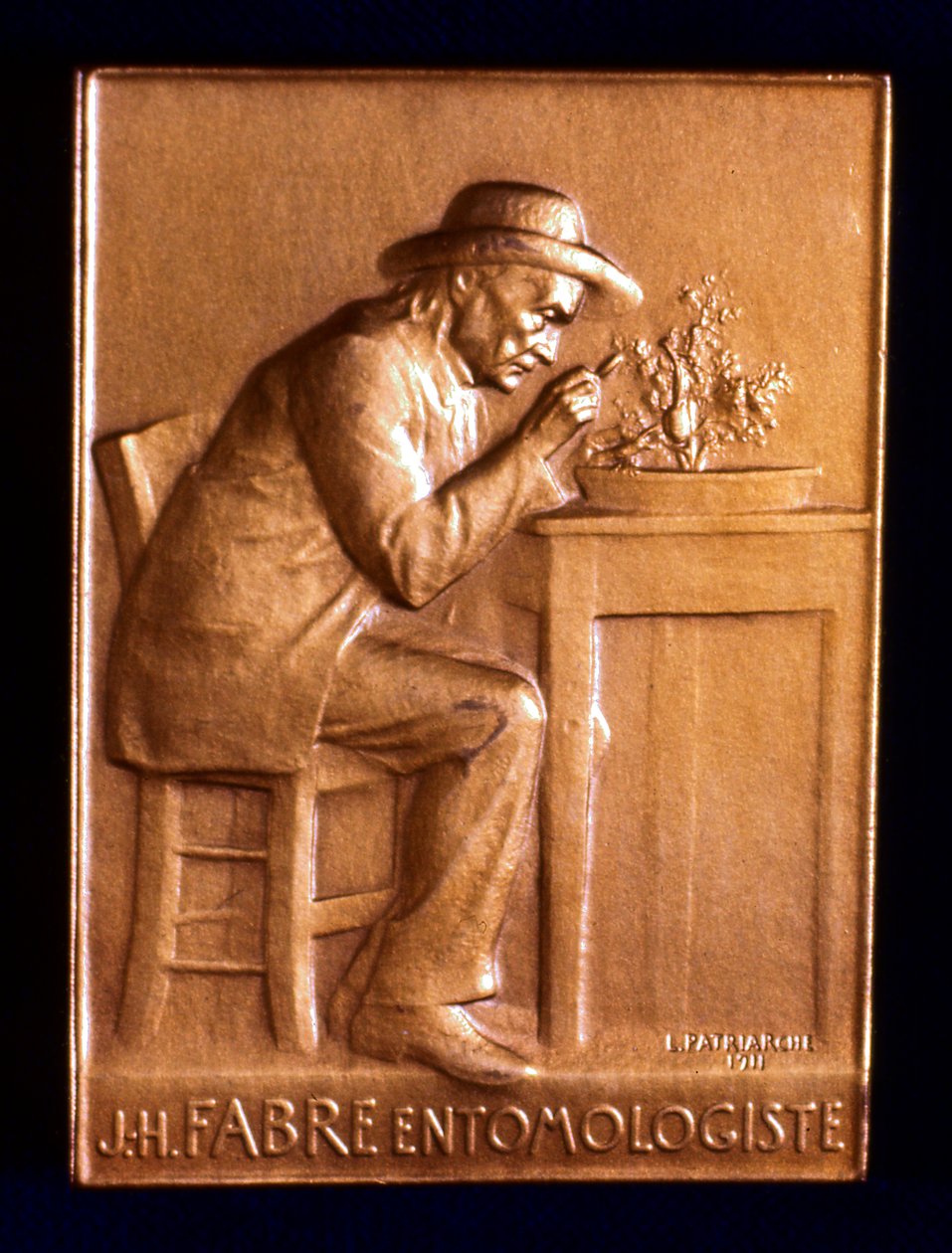 让·亨利·法布尔（Jean Henri Fabre），法国昆虫学家，1911年 作者 父权制