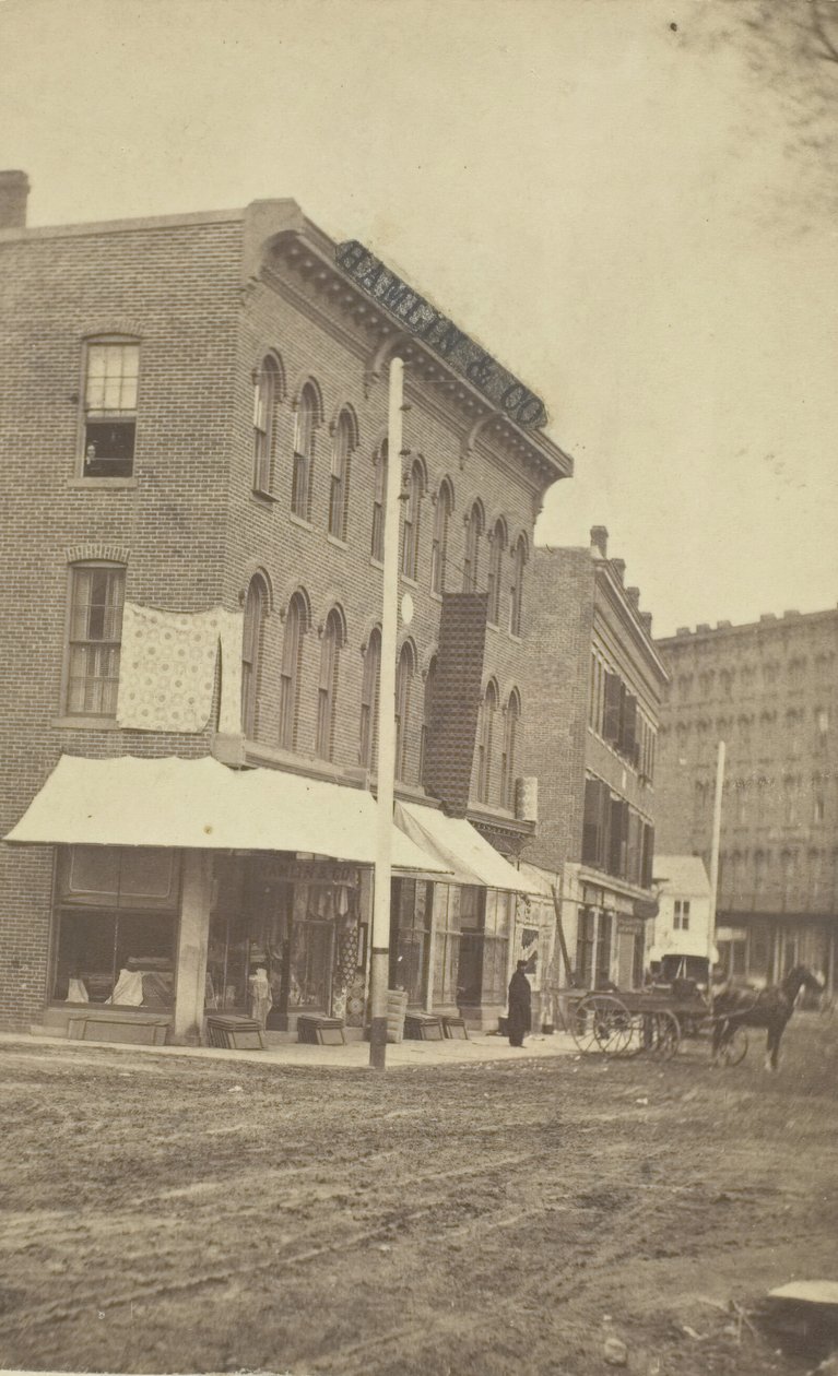 Hamlin & Co.商店，19世纪末。 作者 L·汤普森