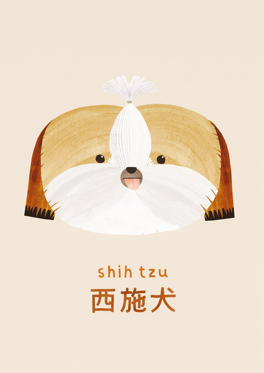 西施犬，2019 年 作者 莉亚·勒·皮维尔