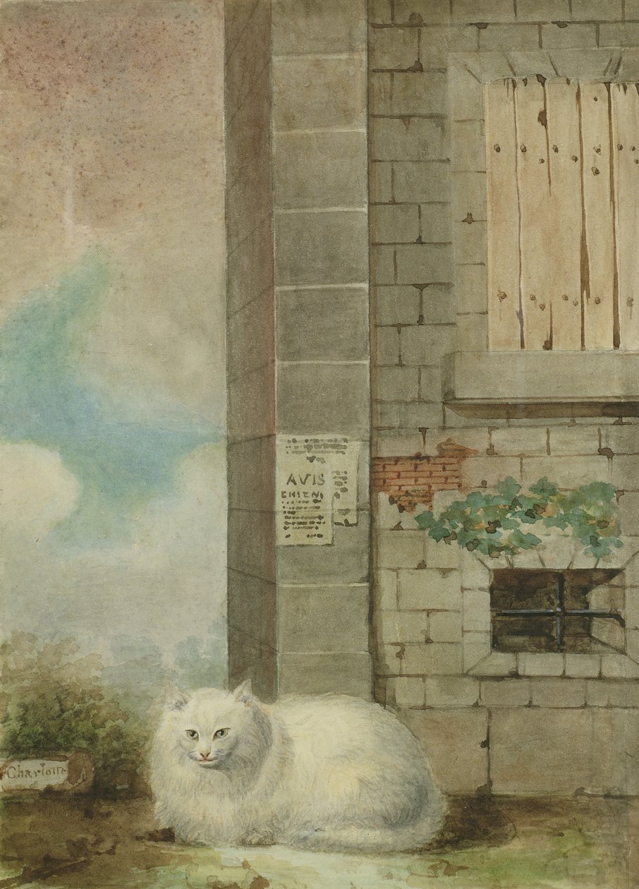 白色波斯猫 作者 夏洛特·施莱伯夫人