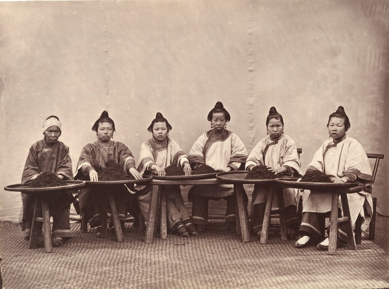 Culling Tea, 约1869年。 作者 赖芳。