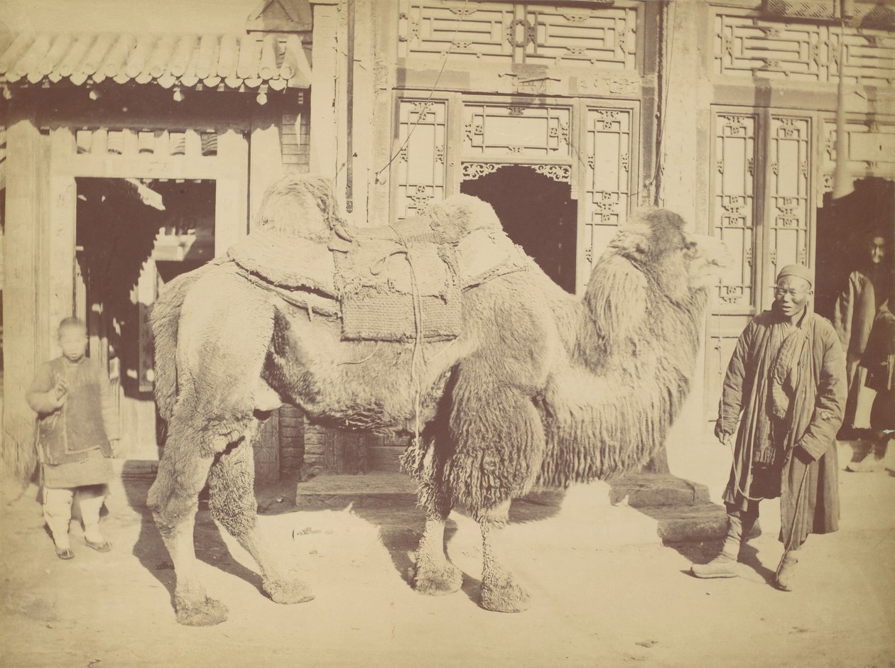 北京。第923号，1867年。 作者 赖芳。
