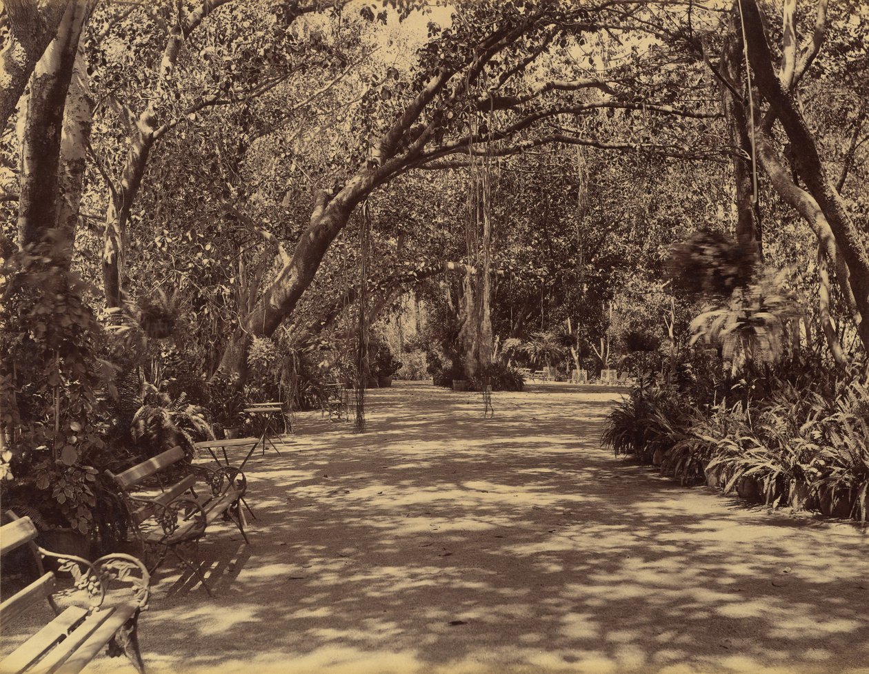 苏克-维拉斯宫花园，1880-90。 作者 Lala Deen Dayal