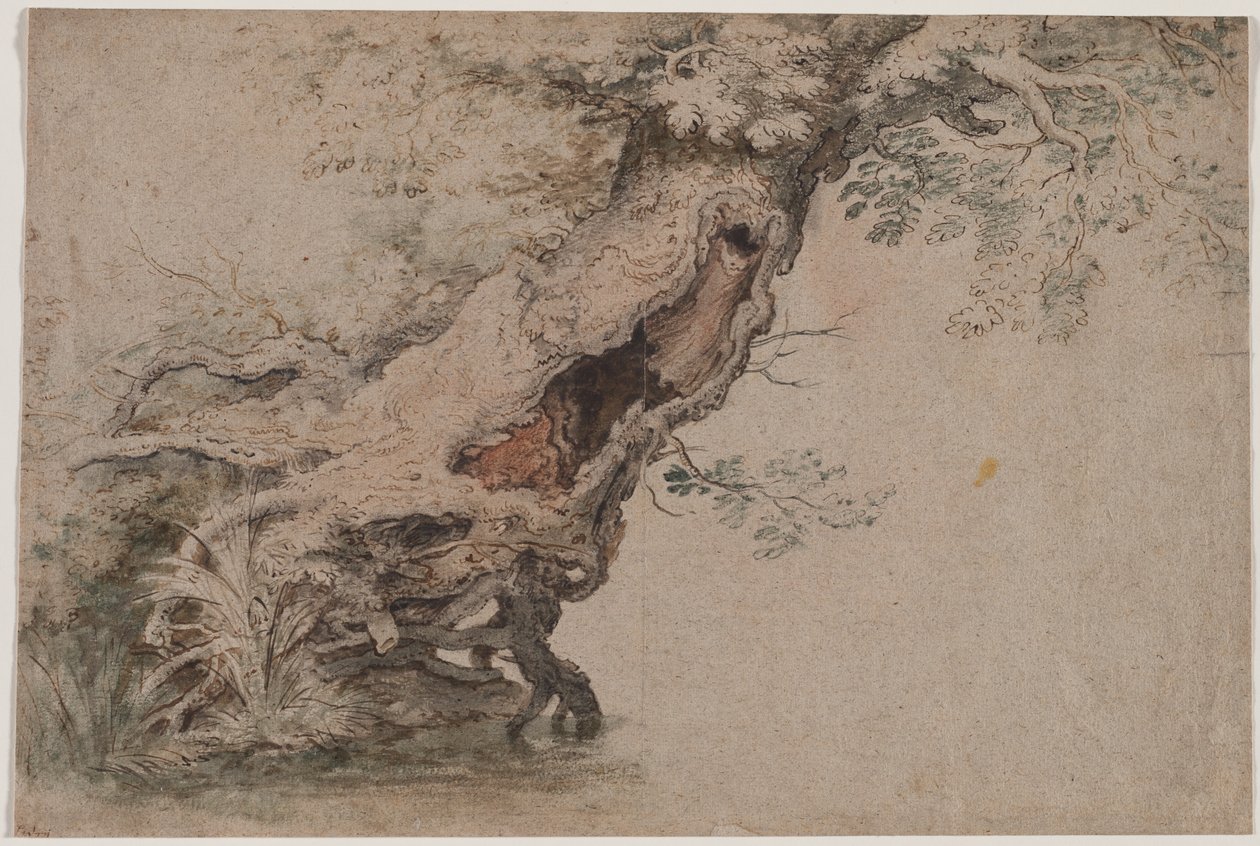 空心树，继Roelant Savery之后，于1670年之后。 作者 兰伯特·杜默