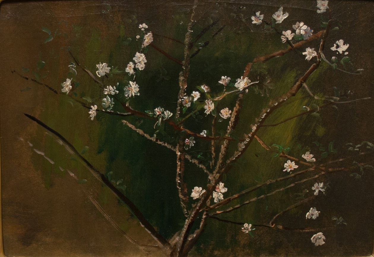 BlossomingnMagyar：Viragzasn 作者 拉斯洛（Laszlo Mednyanszky）