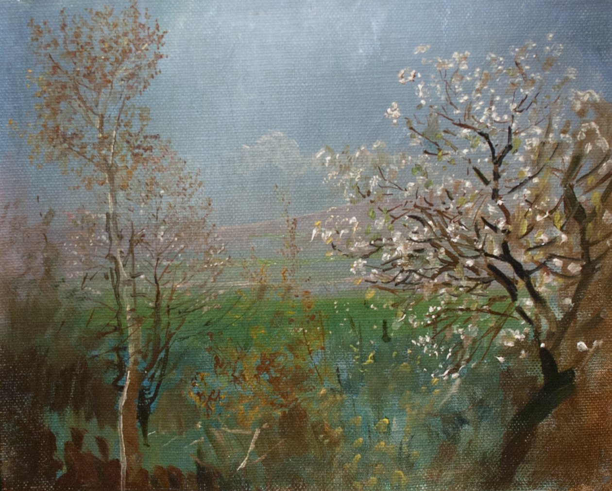 Blossoming_treenMagyar：Viragzo粉丝 作者 拉斯洛（Laszlo Mednyanszky）