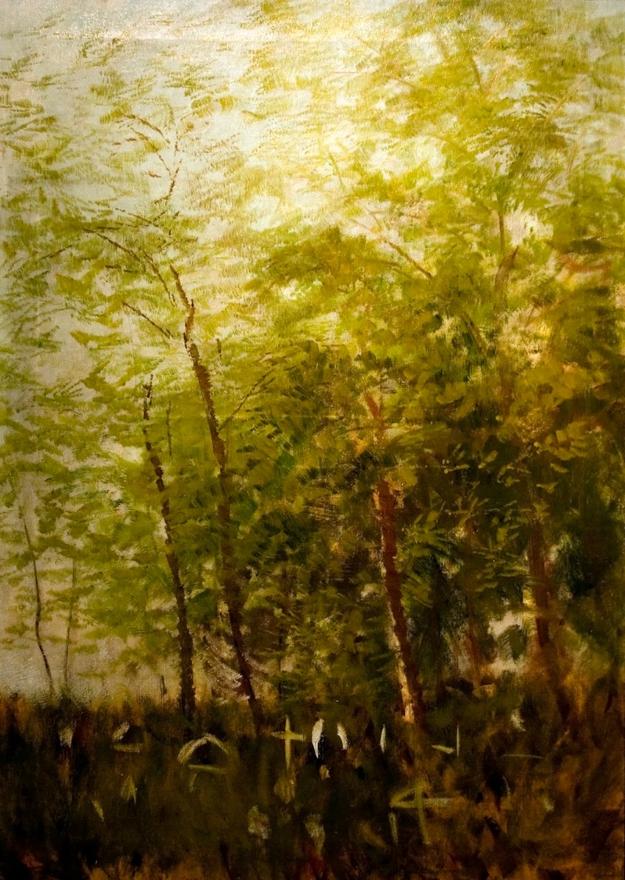 Erdoszele sirkeresztekkelnEnglish：Fringe_of_Forest_with_Crossesn 作者 拉斯洛（Laszlo Mednyanszky）
