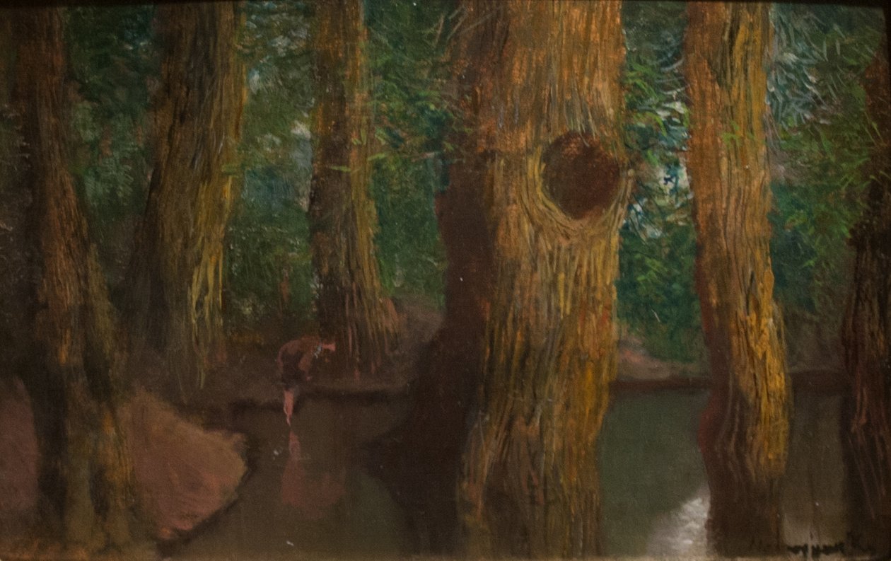 Inside_the_ForestnMagyar：Erdobelson 作者 拉斯洛（Laszlo Mednyanszky）