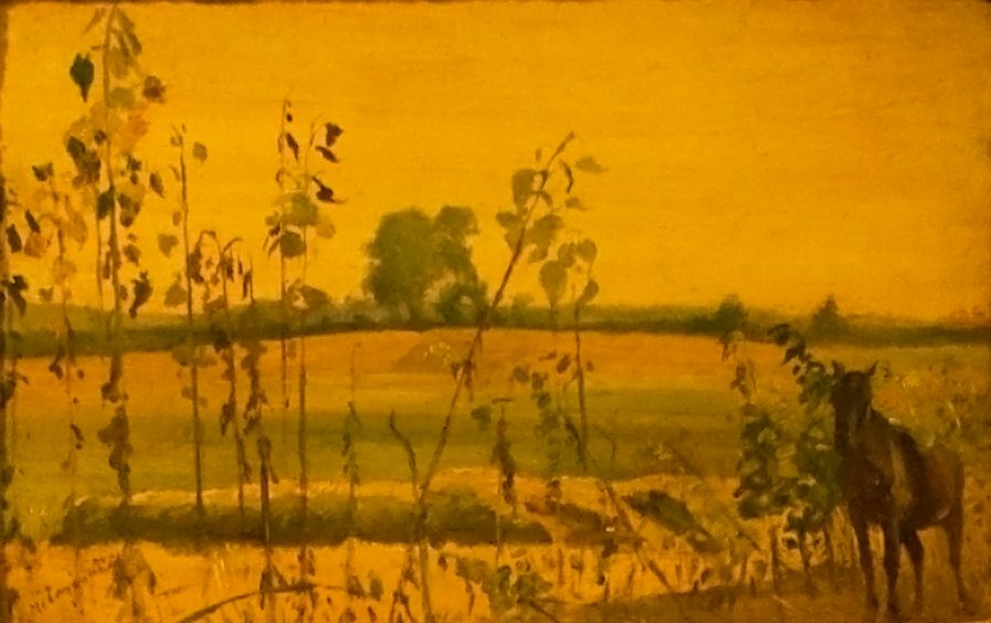 Lo tajbannEnglish：Horse_in_a_Landscapen 作者 拉斯洛（Laszlo Mednyanszky）