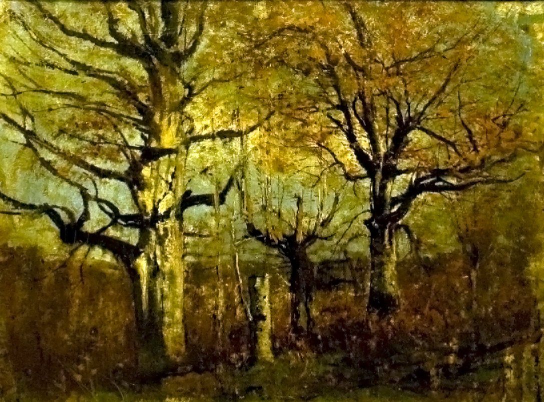 NyirfaknEnglish：Birchesn 作者 拉斯洛（Laszlo Mednyanszky）