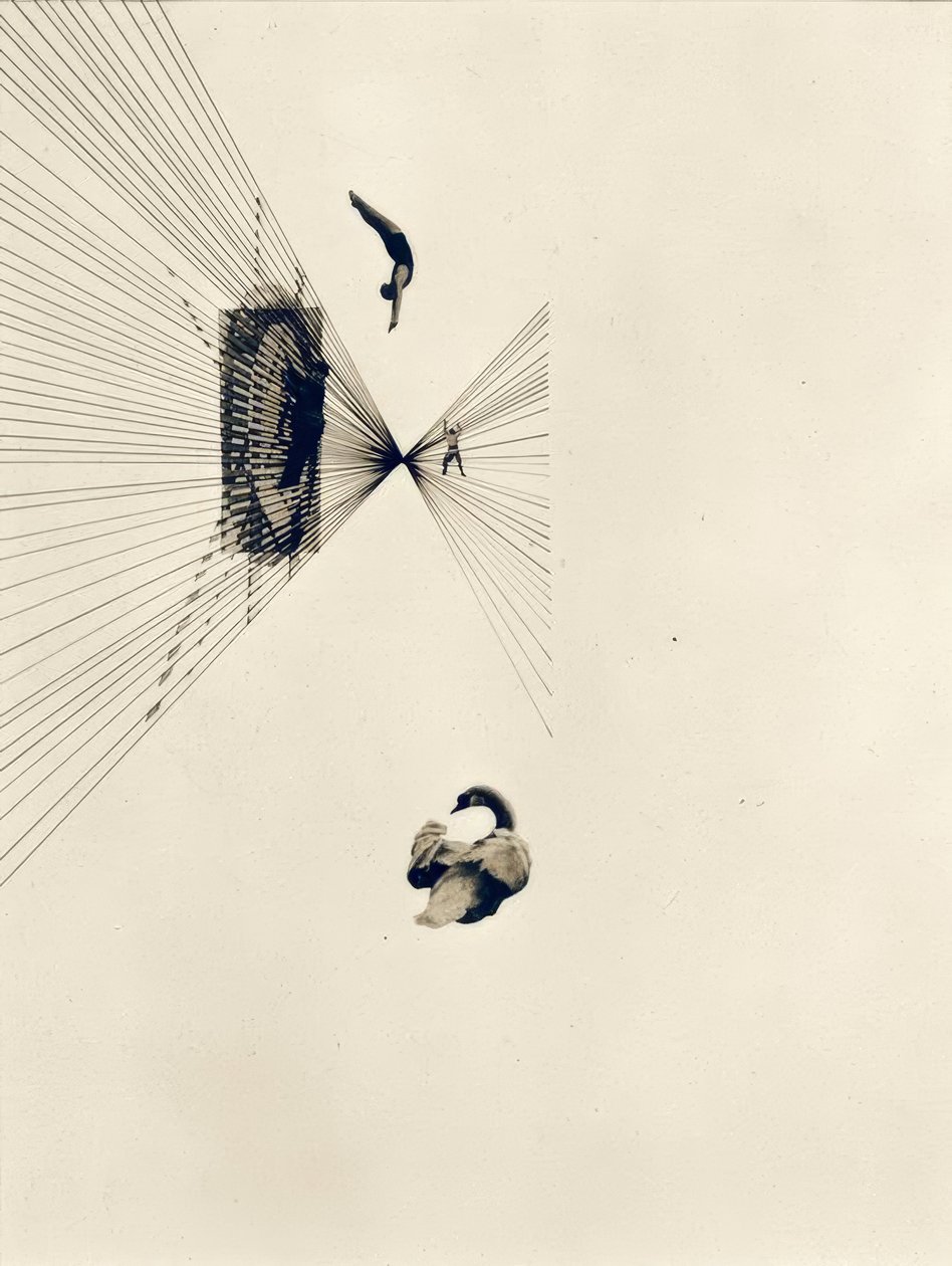 莱达与天鹅 作者 拉斯洛·莫霍利·纳吉（Laszlo Moholy Nagy）