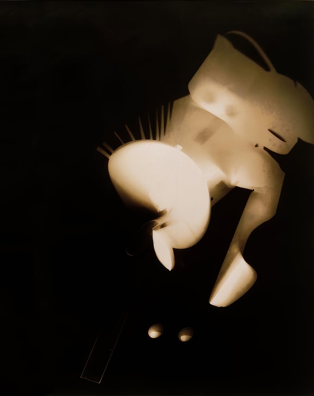 没有标题 作者 拉斯洛·莫霍利·纳吉（Laszlo Moholy Nagy）