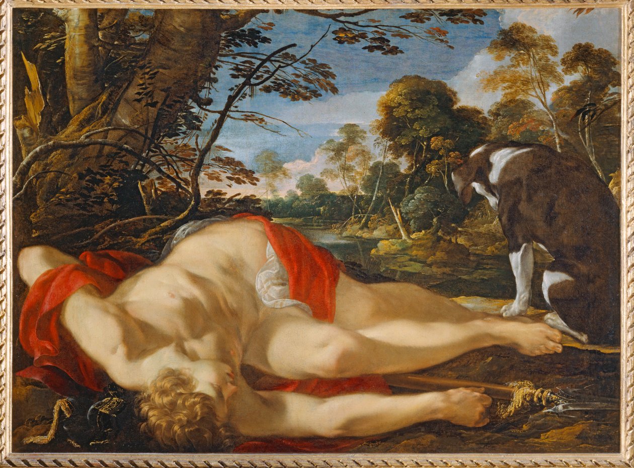 Adonis mort - 阿多尼斯之死。第 1624-1628 节... 作者 Laurent de (车间) La Hyre