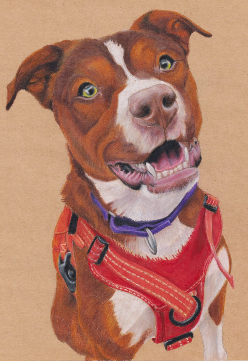 便士，约 2024 年（棕色艺术纸上的彩色铅笔） 作者 