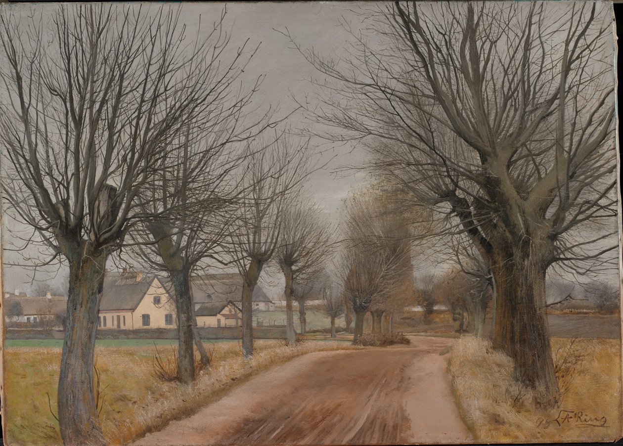 新西兰文德尔附近的一条道路，1898年。 作者 劳瑞特的安徒生戒指