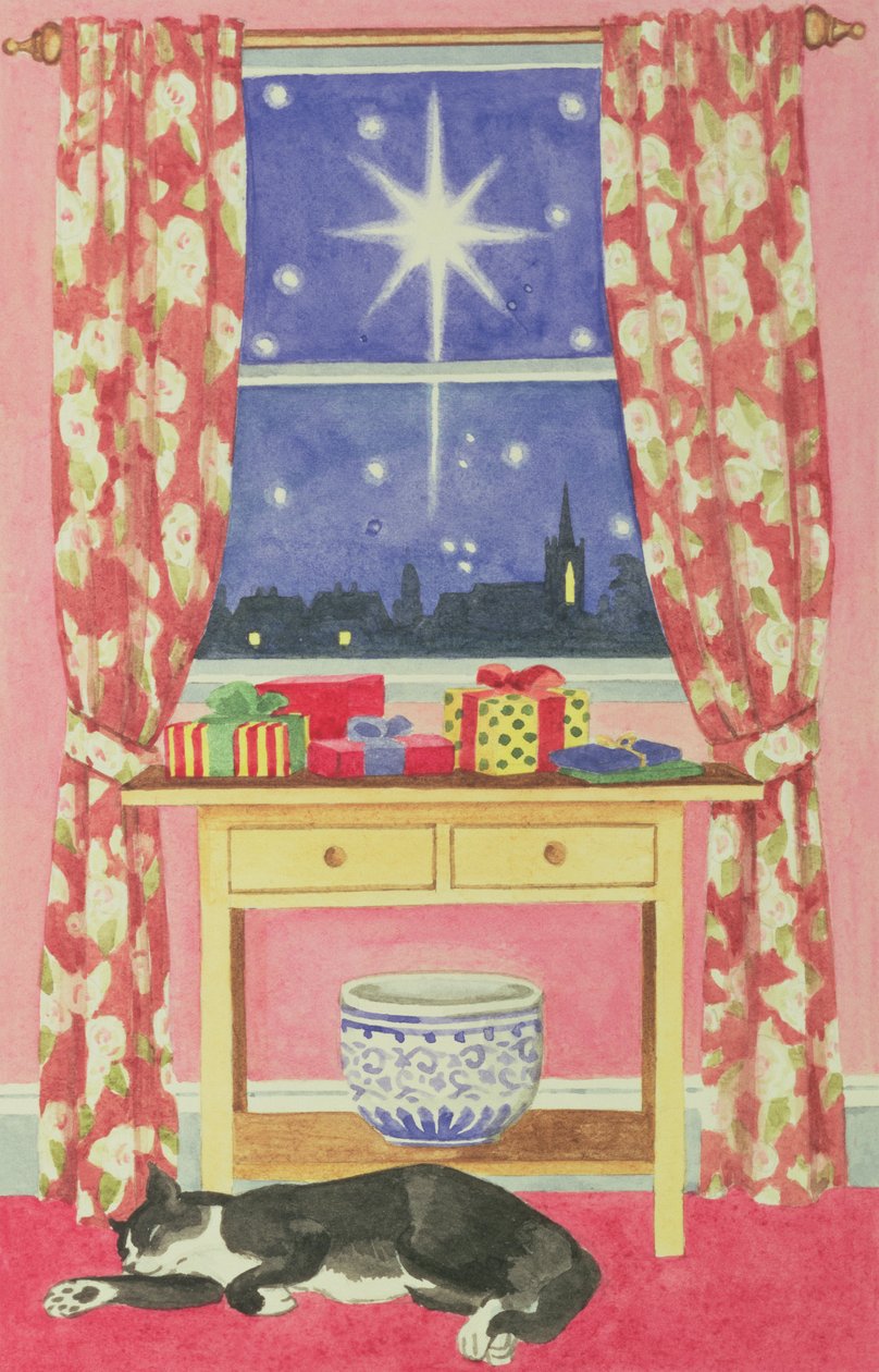 星夜 作者 拉维妮娅·哈默（Lavinia Hamer）