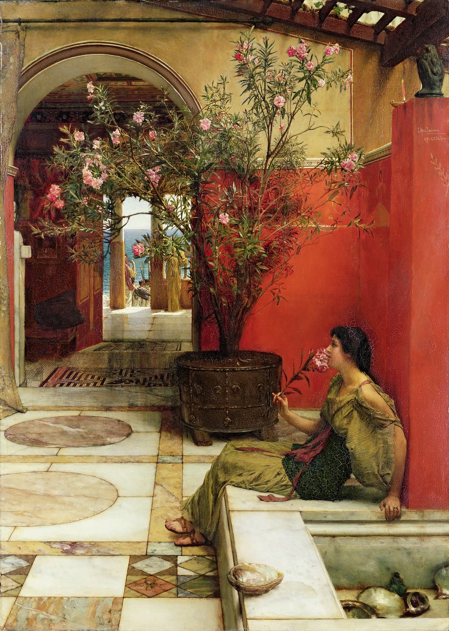 夹竹桃，1882年 作者 劳伦斯·阿尔玛·塔德玛
