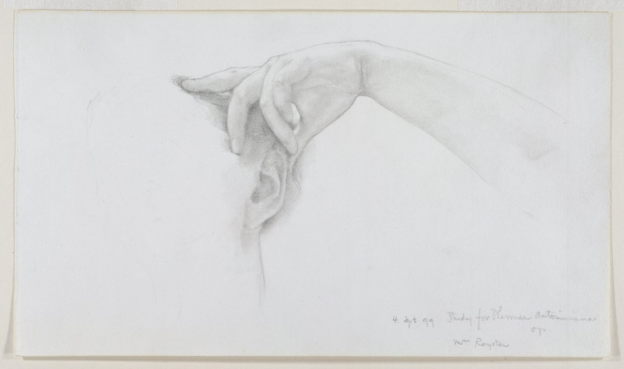研究Thermaie Antoniniane，1899年 作者 劳伦斯·阿尔玛·塔德玛