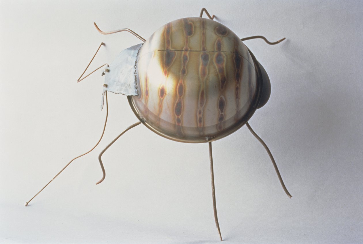 The Ground Beetle，1995（金属） 作者 劳里·西蒙森（Lawrie Simonson）