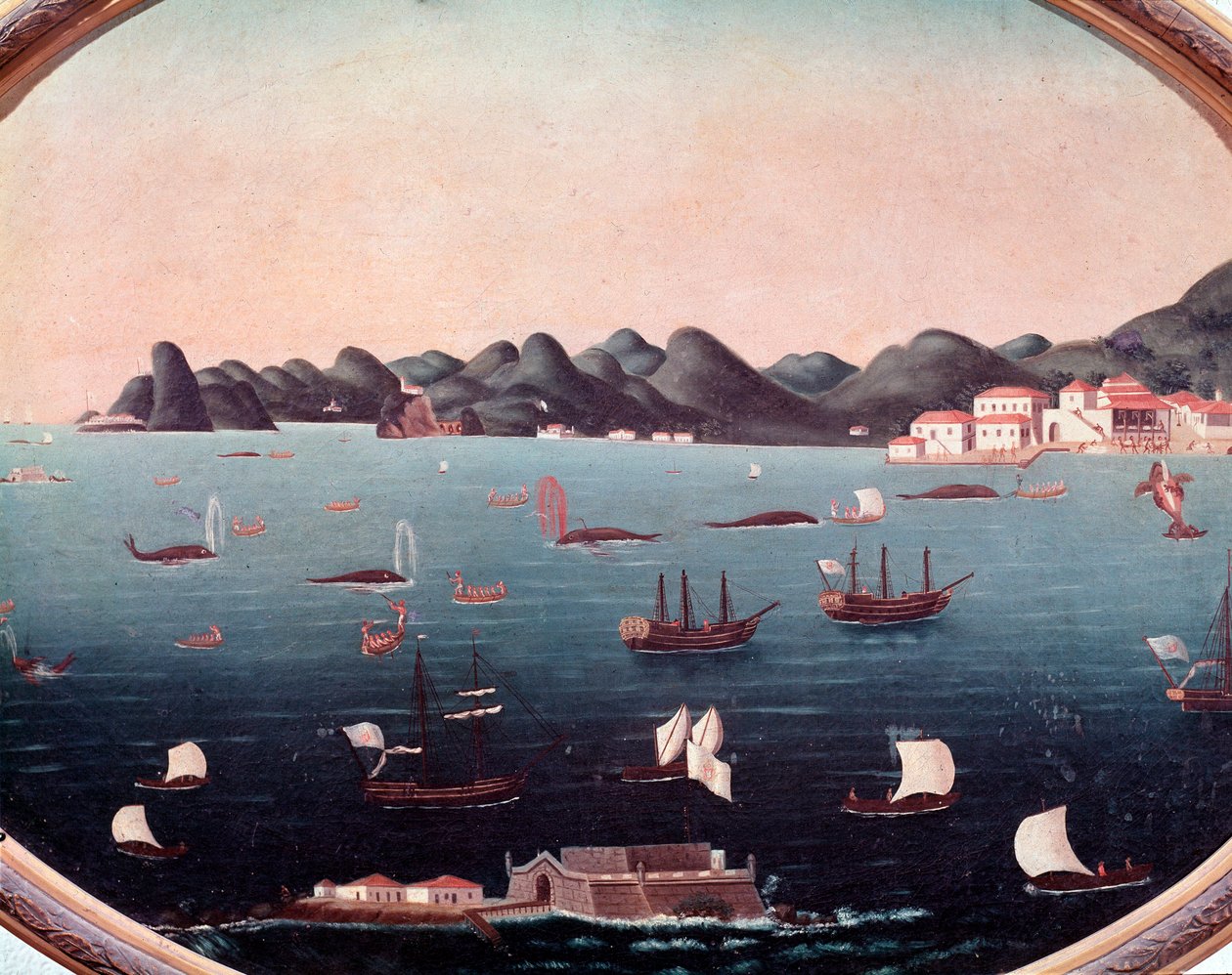 巴西瓜纳巴拉湾的捕鲸活动 莱昂德罗-华金（1738-1798）的水彩画 18世纪 里约热内卢，国家历史博物馆 作者 莱安德罗·约阿希姆（Leandro Joachim）