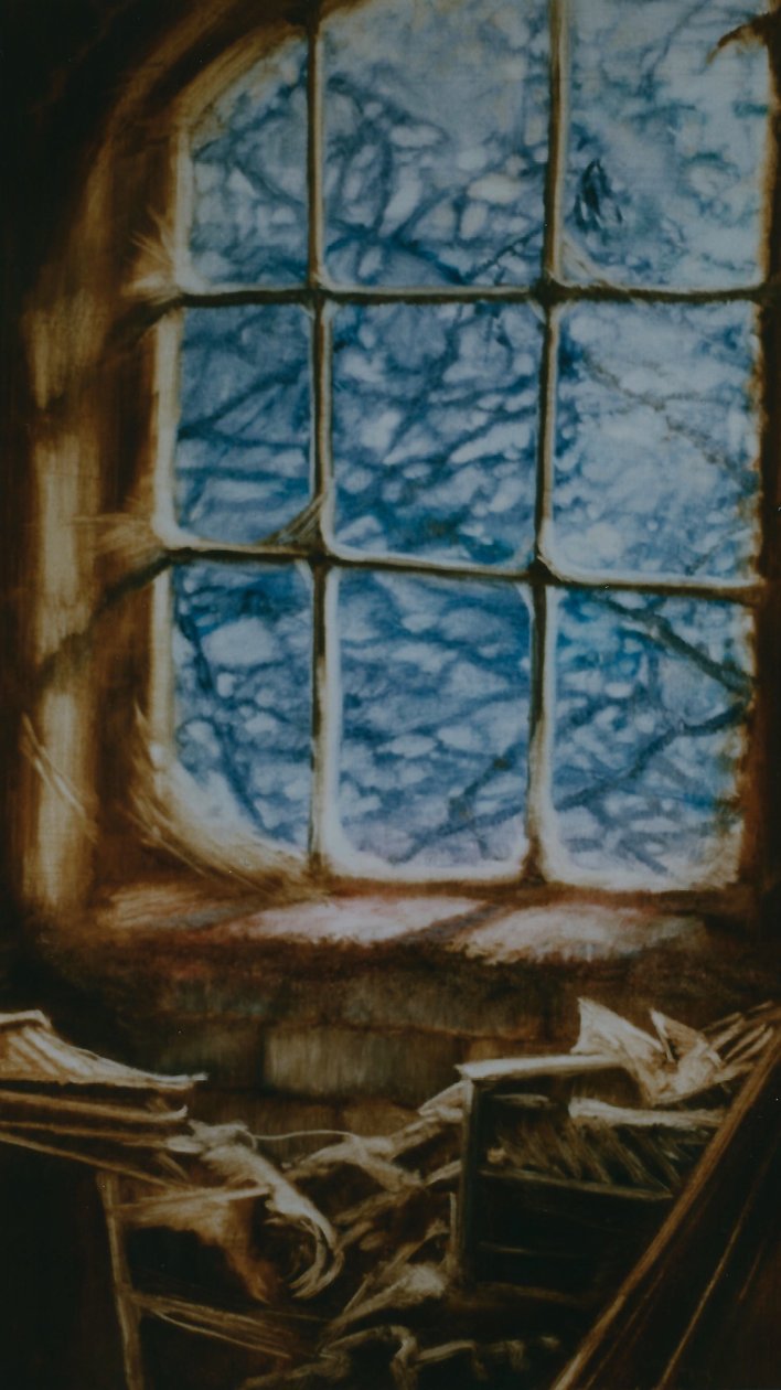 蜘蛛网，1999 作者 李·坎贝尔