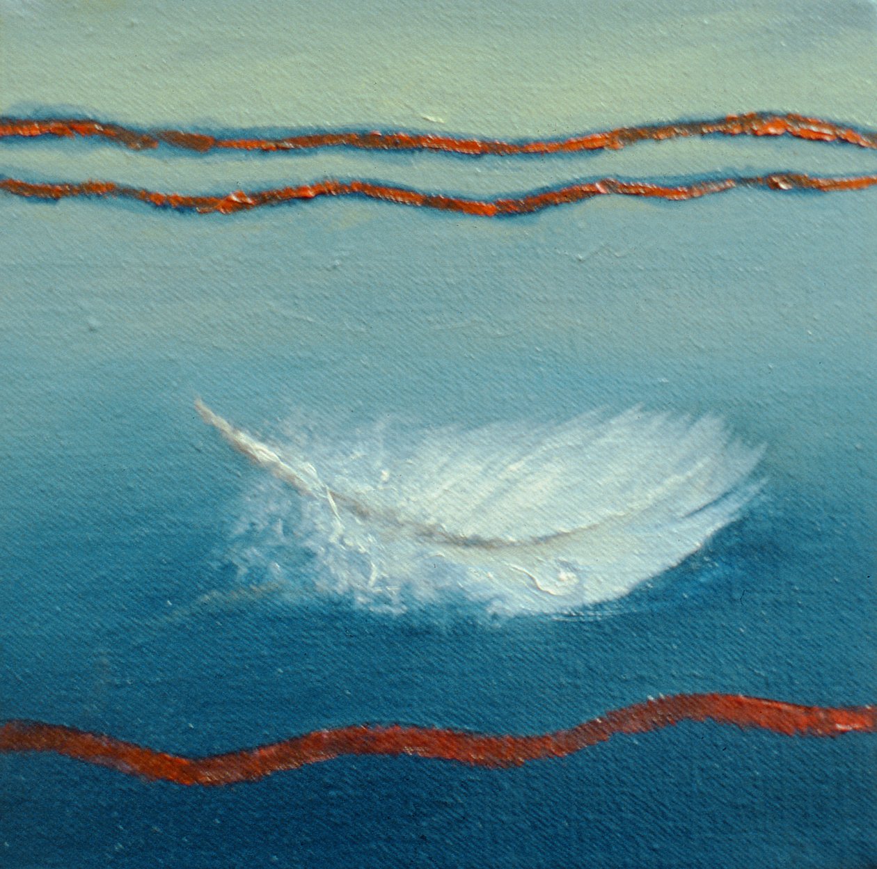 浮动，2001年羽毛 作者 李·坎贝尔