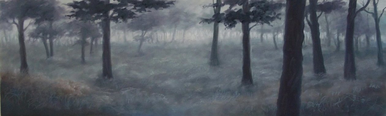 里士满雾，2011 作者 李·坎贝尔