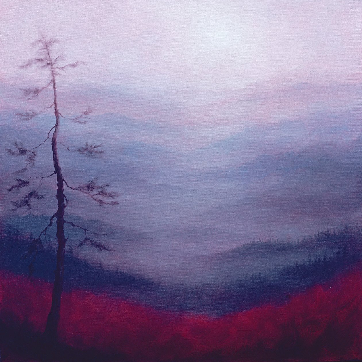 Alpine Pink，2007 作者 李·坎贝尔
